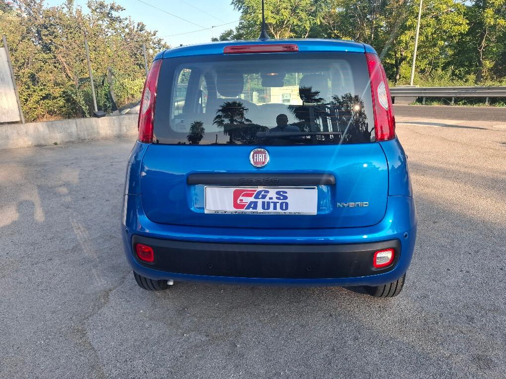 Fiat Panda Pandina 1.0 FireFly 65 CV Hybrid Icon