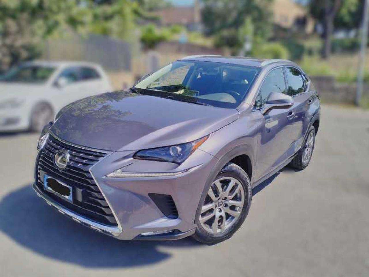 Lexus NX 300h 2.5 Business 2wd cvt