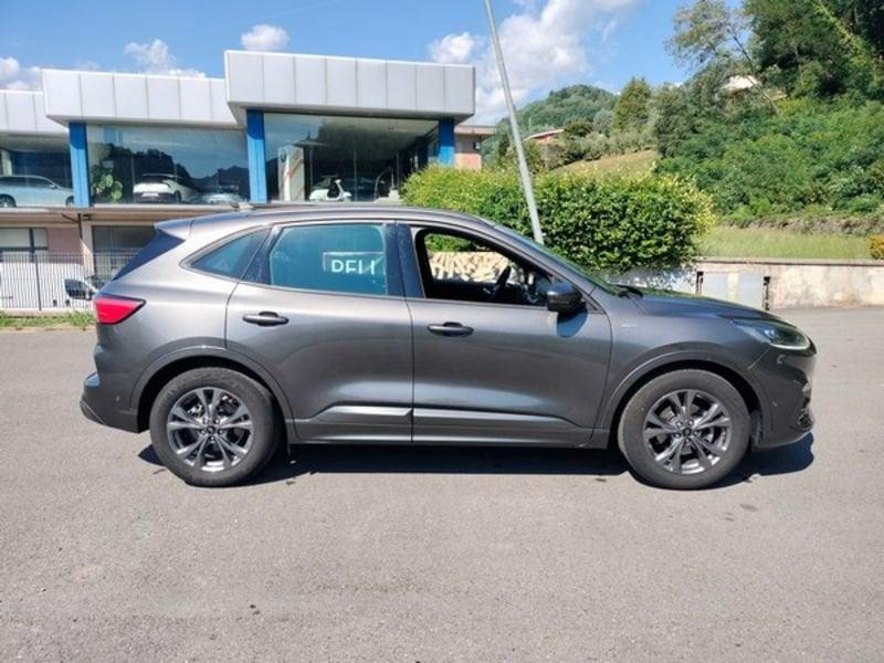 Ford Kuga Kuga 1.5 EcoBlue 120 CV 2WD ST-Line