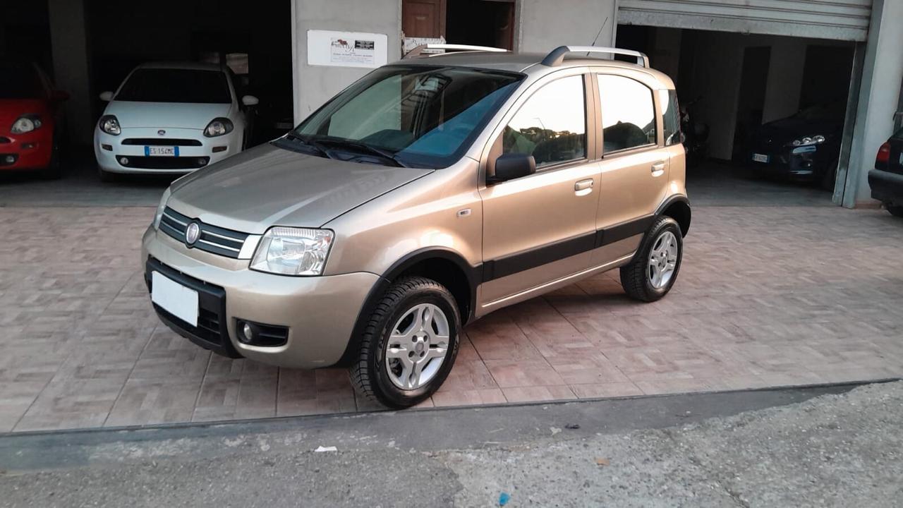 Fiat Panda 1.3 MJT 16V 4x4