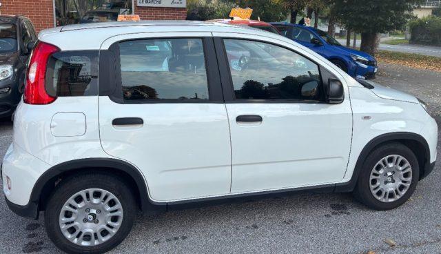 FIAT Panda 1.0 FireFly S&S Hybrid PANDINA 5 POSTI