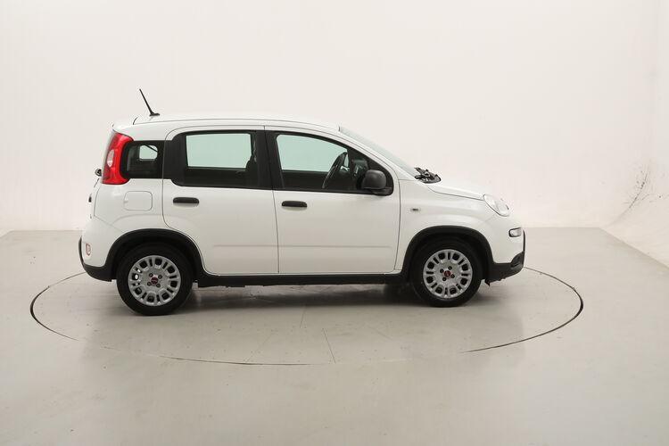 Fiat Panda Hybrid BR751276 1.0 Mild Hybrid 70CV