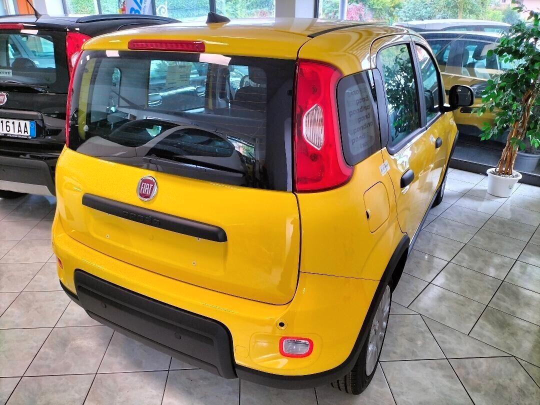Fiat Panda Pandina 1.0 65 CV Hybrid POP