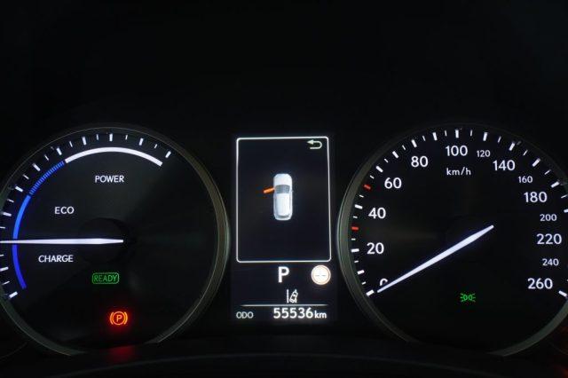 LEXUS Other NX NX Hybrid Business