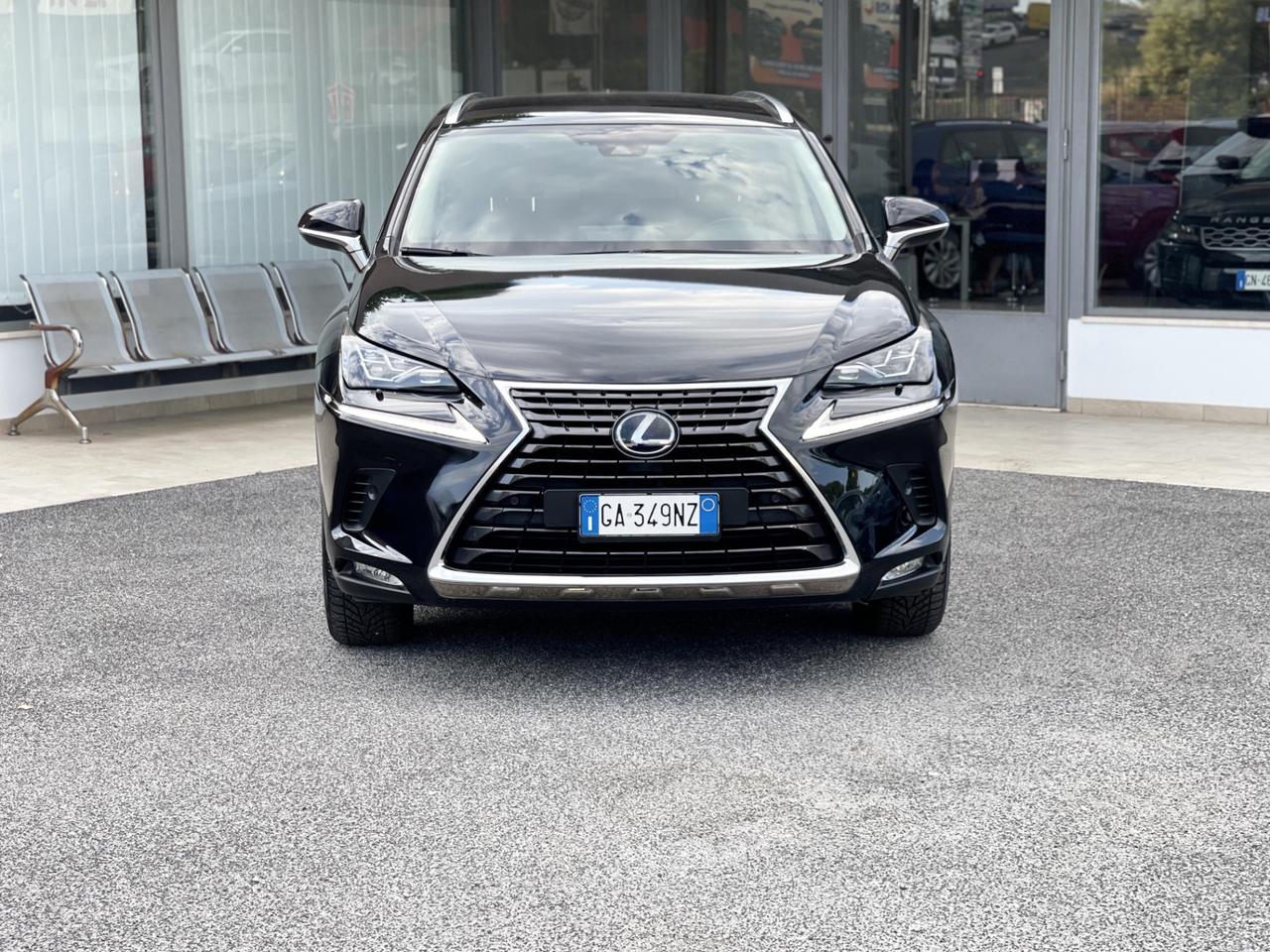 Lexus NX 300h Luxury 2.5 Hybrid 155CV E6 - 2020