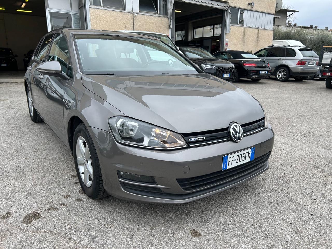 Volkswagen Golf 1.4 TGI 5p. Executive BlueMotion