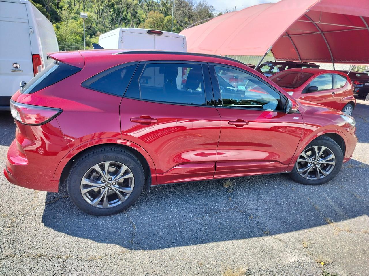 Ford Kuga 2.0 EcoBlue 120 CV aut. 2WD ST-Line PREZZO VERO !!!!