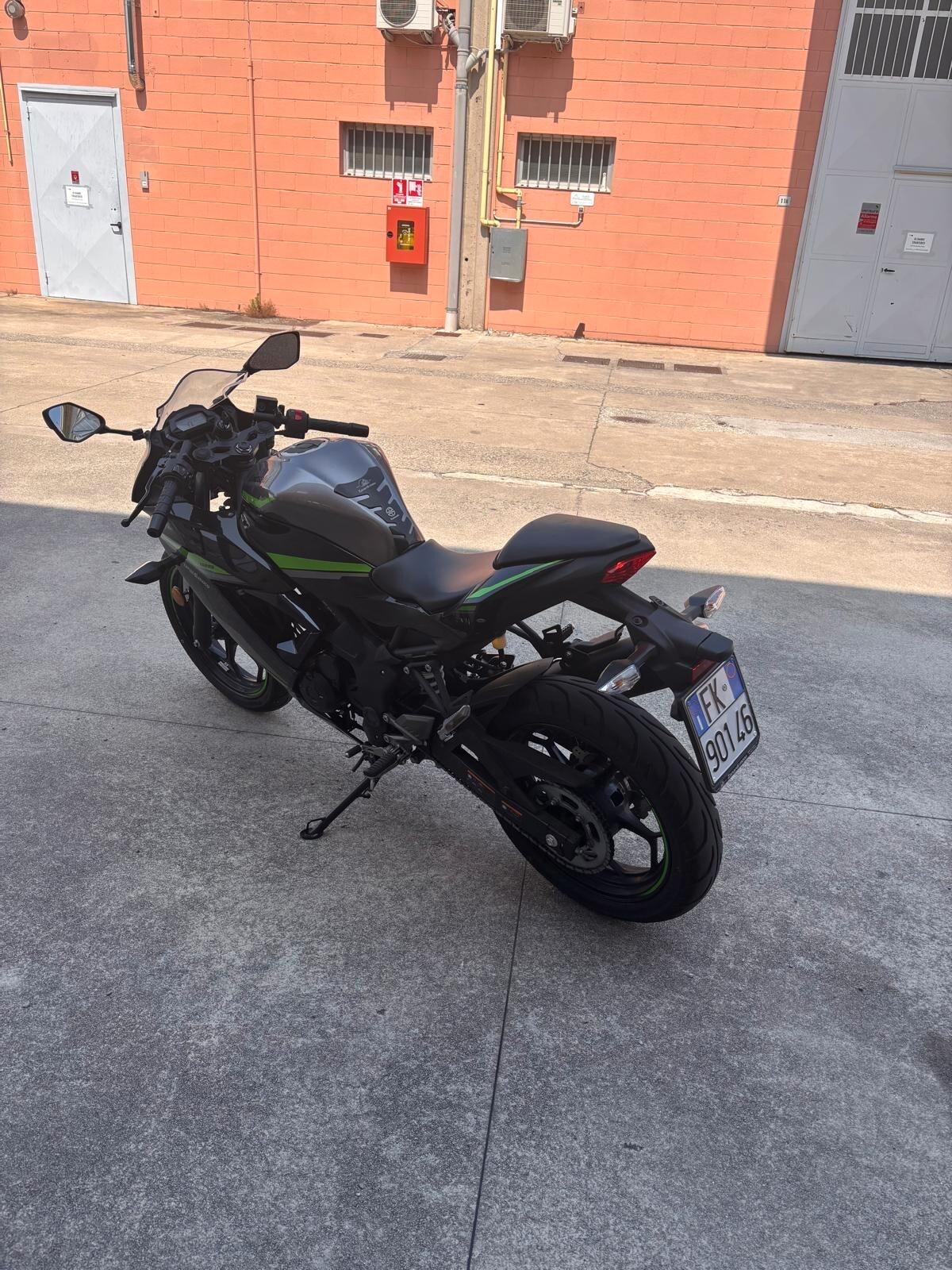 Kawasaki Ninja 125 Performance