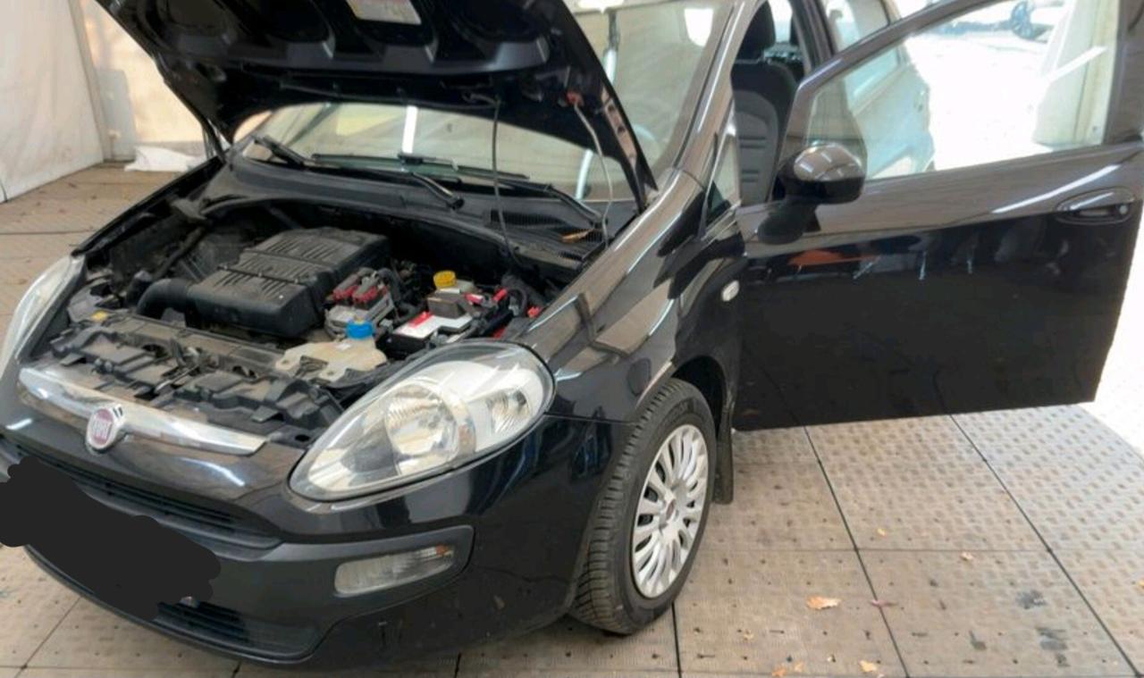 Fiat Punto Evo 1.4 5 porte Dynamic