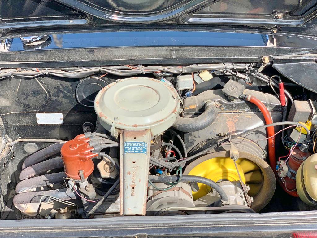 Fiat 850 SPIDER SPORT targa oro Asi