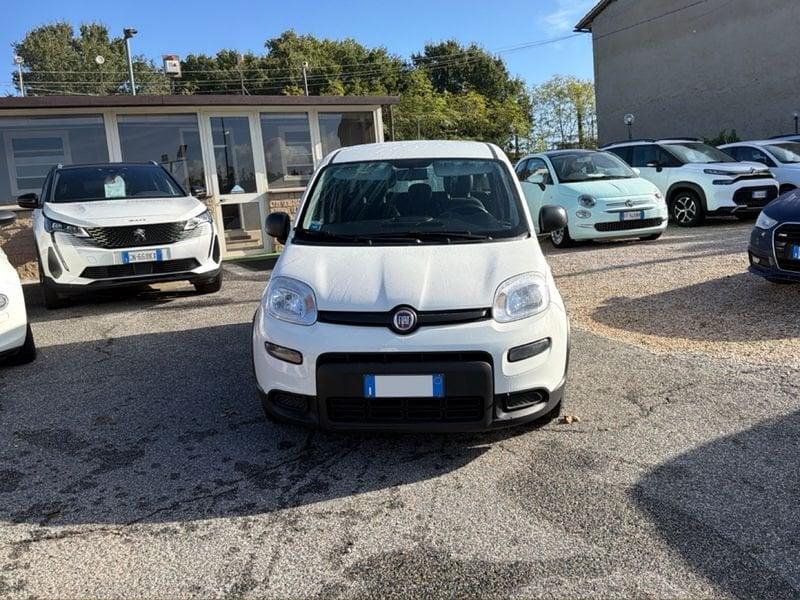 FIAT Panda Panda 1.0 firefly hybrid s&s 70cv 5p.ti