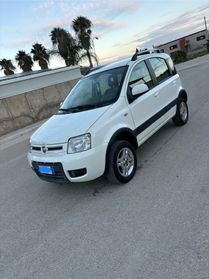 Fiat Panda 1.3 MJT 16V DPF 4x4 Climbing