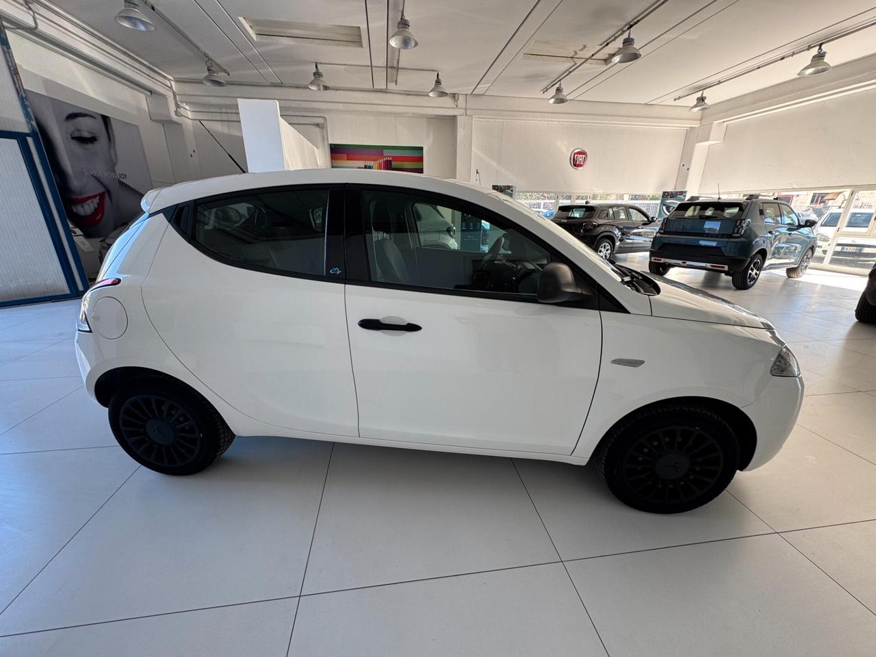 Lancia Ypsilon 1.2 69 CV 5 porte GPL Ecochic Elefantino Blu