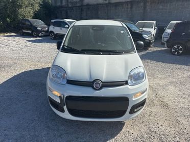FIAT Panda N. 1.0 70cv Hybrid Panda