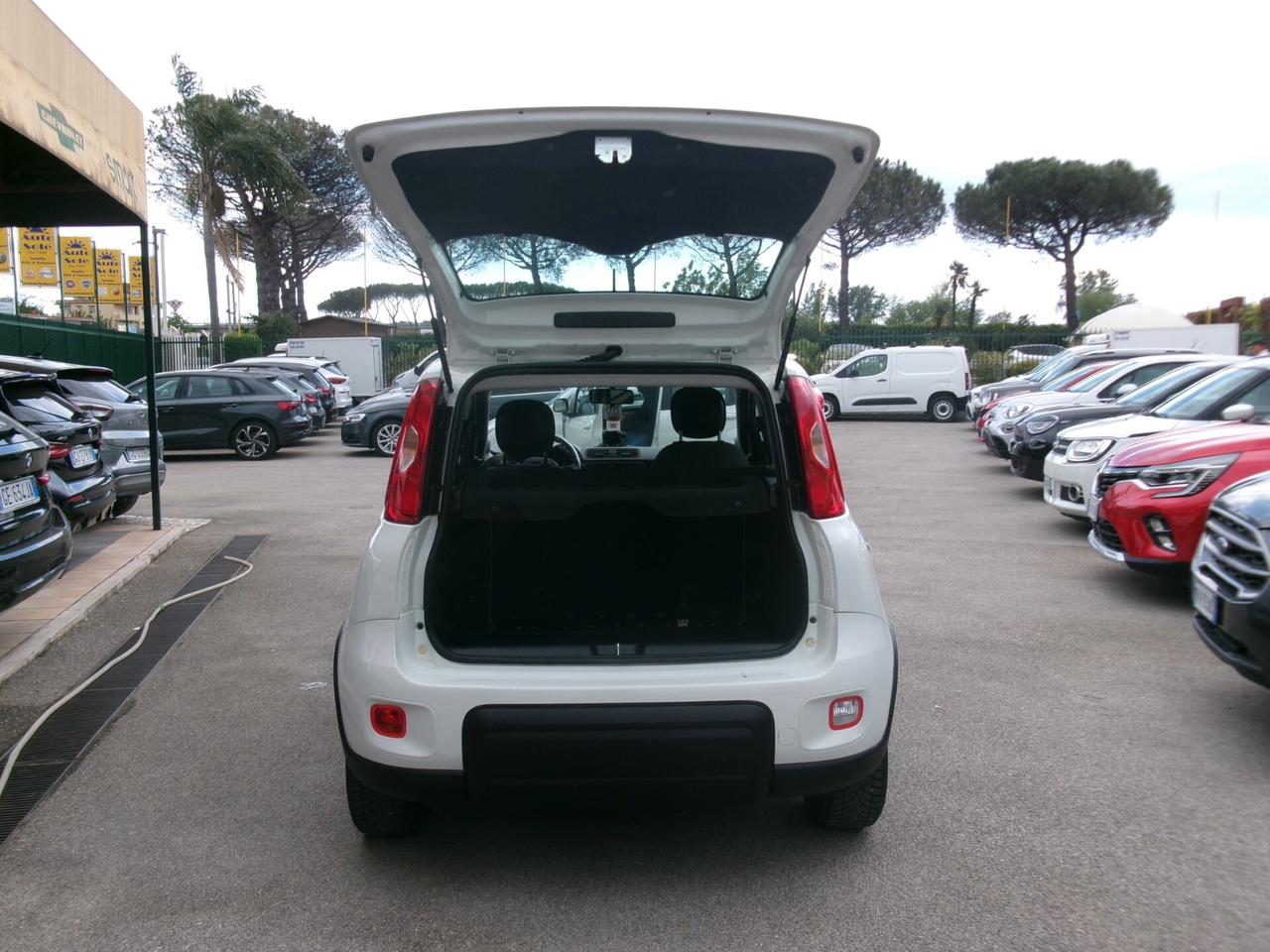 Fiat Panda 1.0 FIREFLY HYBRID S CITY-CROSS TAGLIANDATA