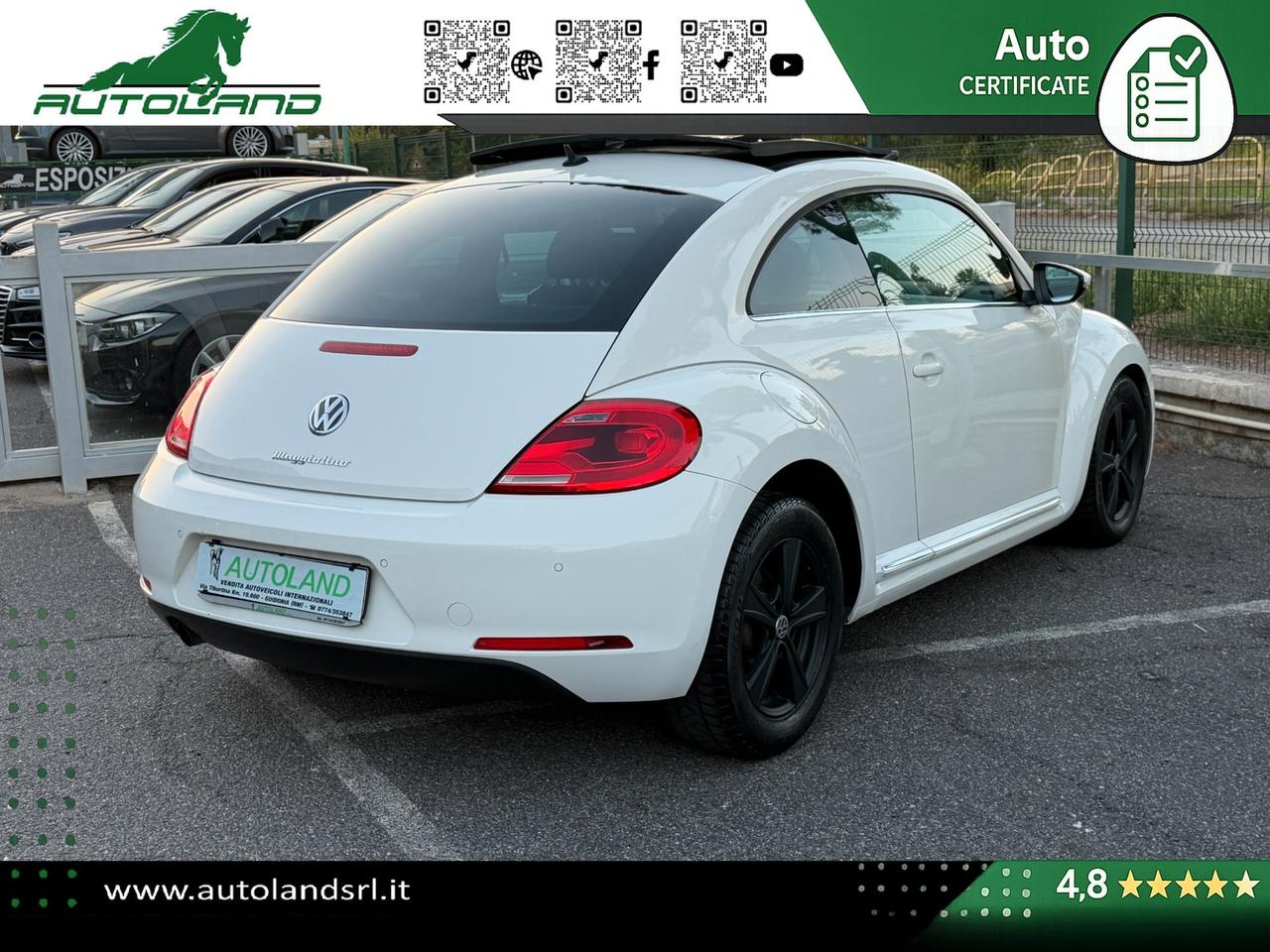 Volkswagen Maggiolino 1.6 tdi Design 105cv dsg