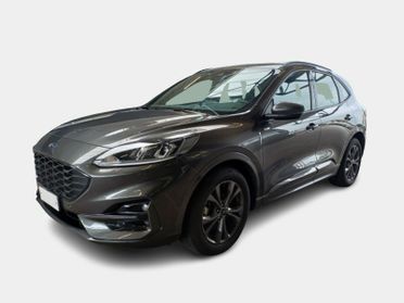 FORD KUGA 2.0 EcoBlue 120CV 2WD ST-Line Auto
