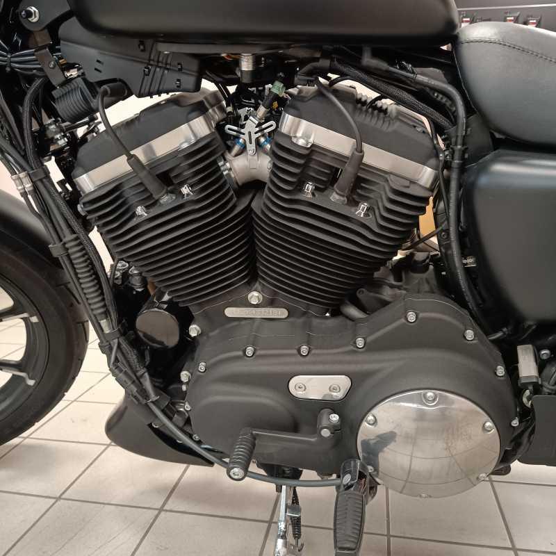 Harley-Davidson 883 Iron - 2019