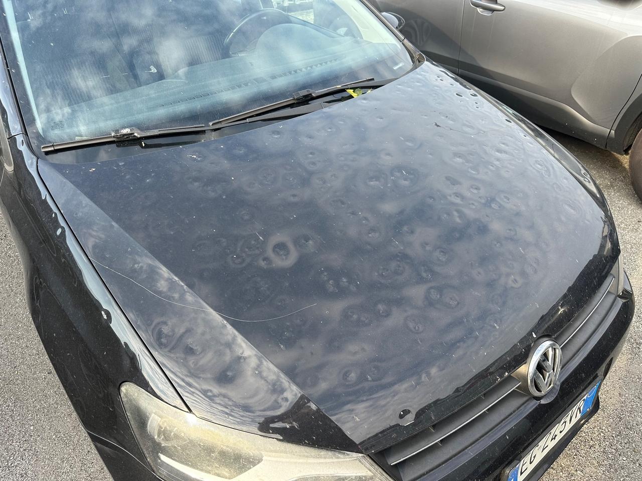 Volkswagen Polo 1.4 5 porte 86cv Highline
