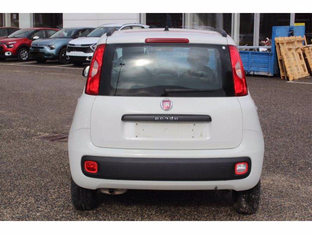 FIAT Panda 1.2 lounge s&s 69cv my19 del 2020