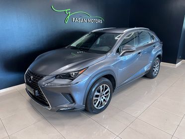 Lexus NX 300h 2.5 Business 2wd cvt