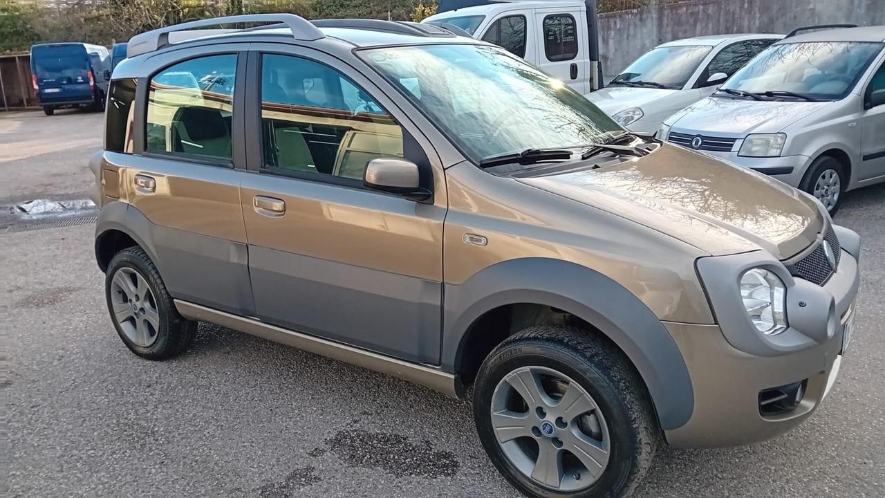 Fiat Panda cross 4 × 4-1.3 mjt-2007