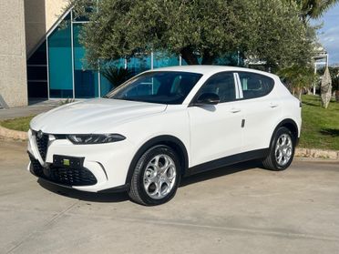 Alfa Romeo Tonale 1.5Super possibilità trasformazione AutocarroN1
