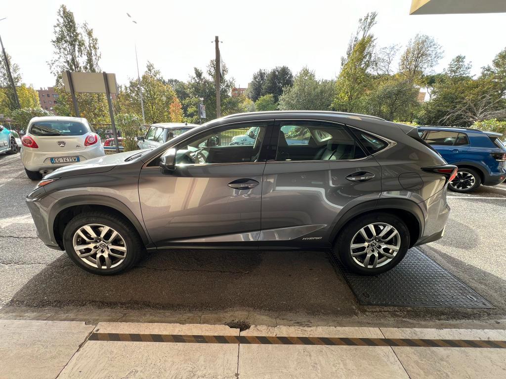 Lexus NX 300h 2.5 Business 4wd cvt