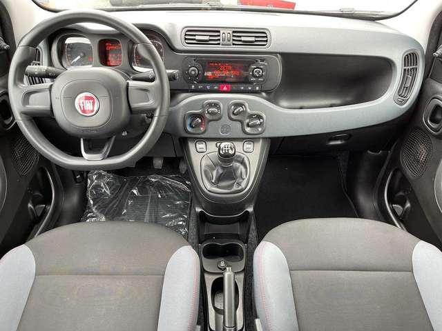 Fiat Panda Panda 1.2 Easy*AMPIA DISPOBILITA' PRONTA CONSEGNA*