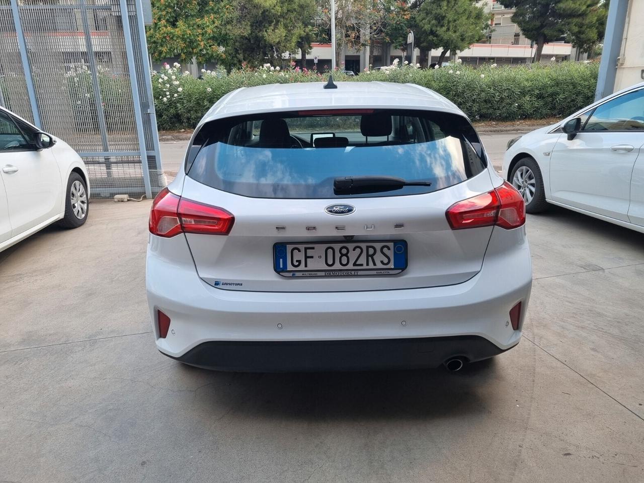 Ford Focus 1.5 EcoBlue 95 CV 5p. Business