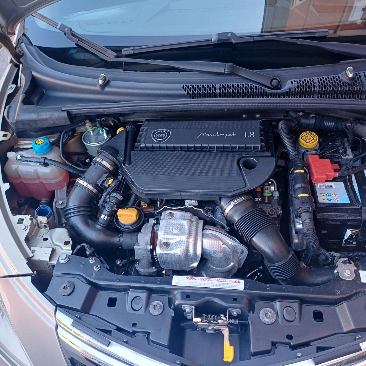 Lancia Ypsilon 1.3 MJT 16V 95 CV 5 porte S&S Platinum