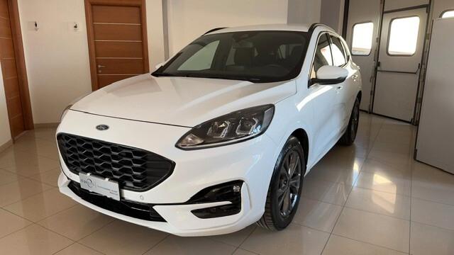 Ford Kuga 1.5 EcoBlue 120 CV 2WD ST-Line