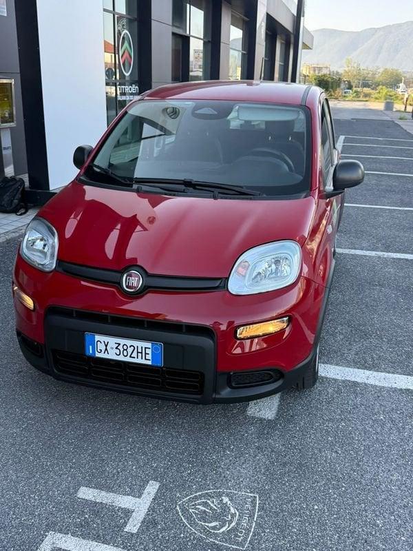 FIAT Panda NEW 1.0 70cv Hybrid PANDA