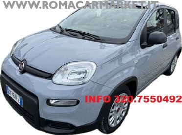 FIAT Panda 1.0 FireFly S&S Hybrid 5 POSTI ITA NO VINCOLI