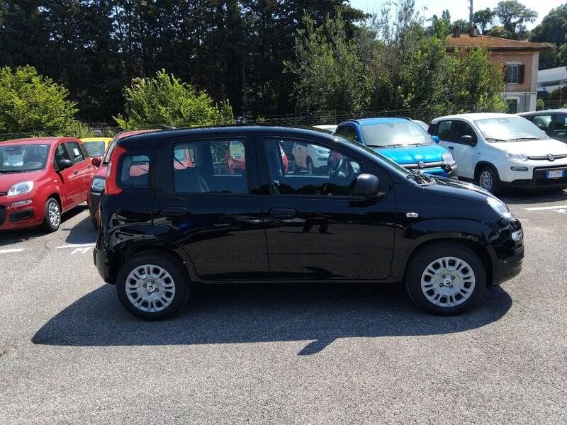 FIAT Panda New 1.0 70cv Hybrid Panda