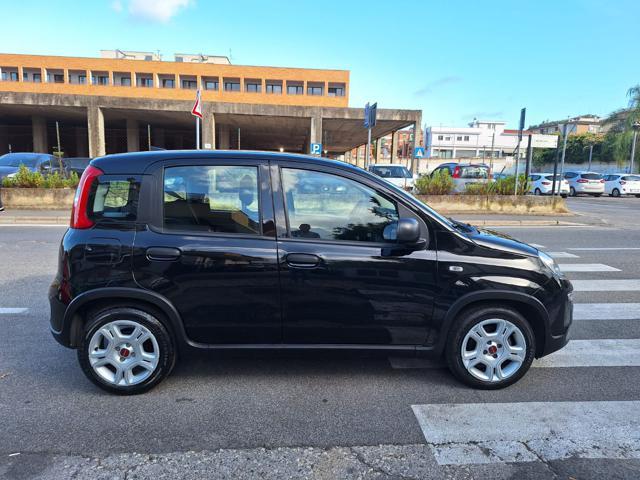 FIAT Panda 1.0 Hybrid 70CV CITY LIFE - GARANTITA