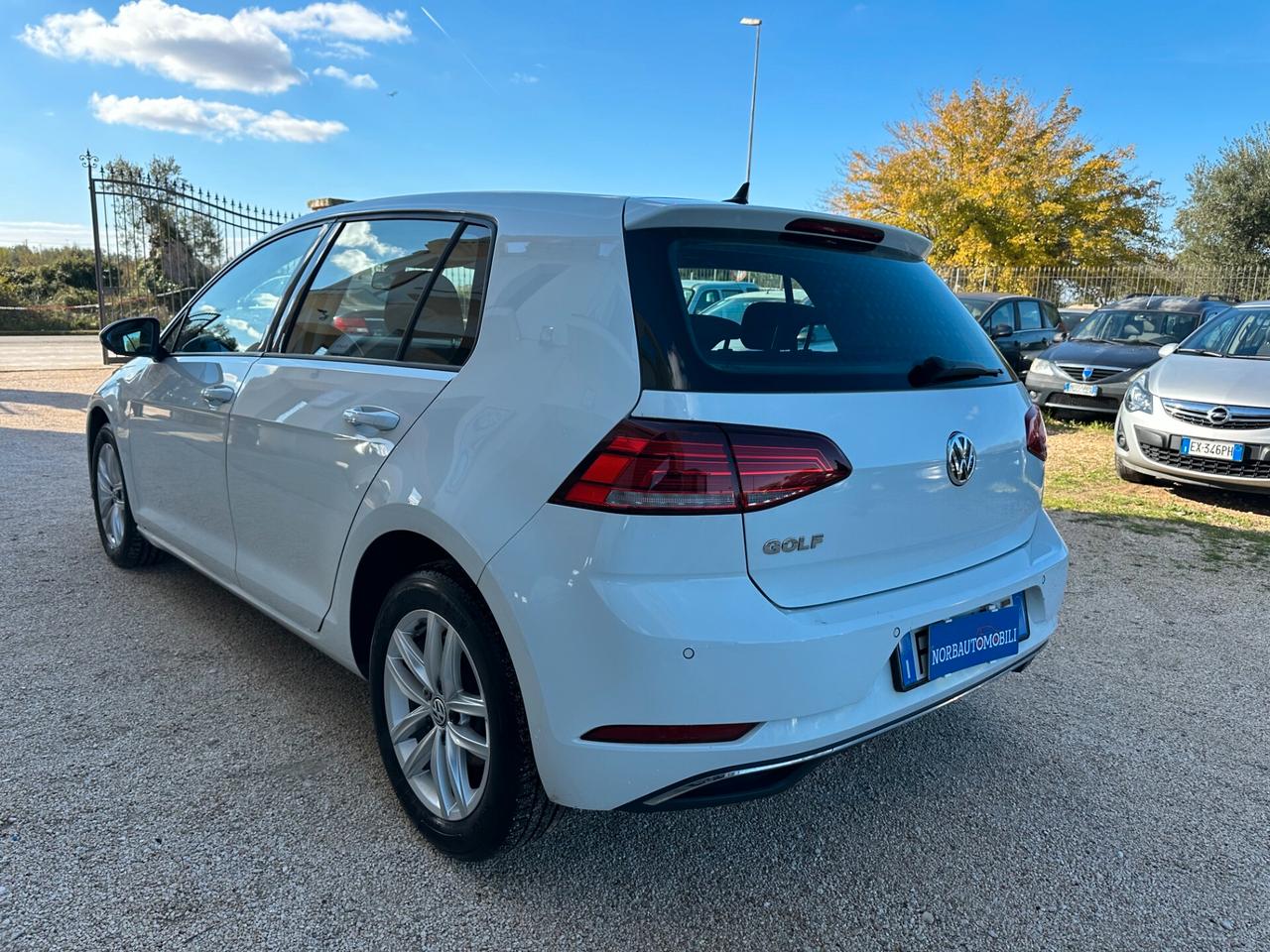 Volkswagen Golf 1.6 TDI 115 CV 5p.BlueMotion Technology 2019