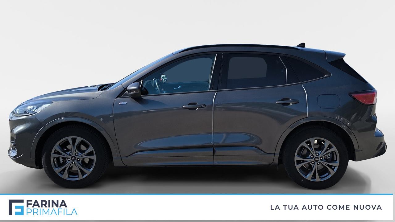 FORD Kuga III 2020 - Kuga 1.5 ecoboost ST-Line 2wd 150cv