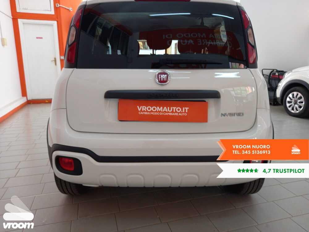 FIAT Panda 3ª serie Panda 1.0 FireFly S&S Hybrid