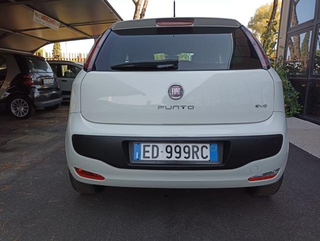 Fiat Punto Evo 1.3 75 cv Mjt Diesel Ok Neopatentati