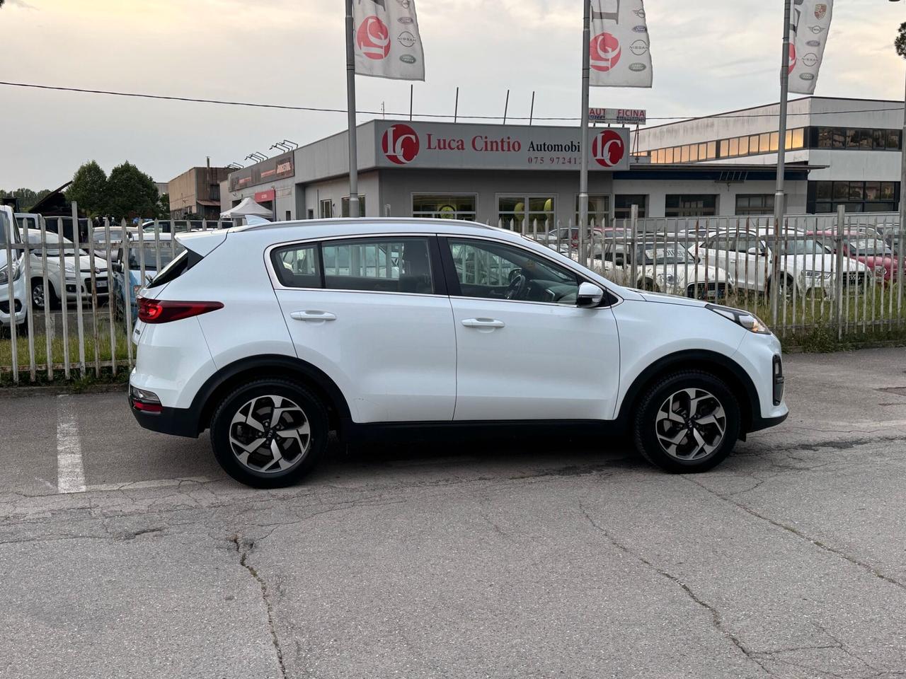 Kia Sportage 1.6 CRDI 115 CV 2WD Business Class