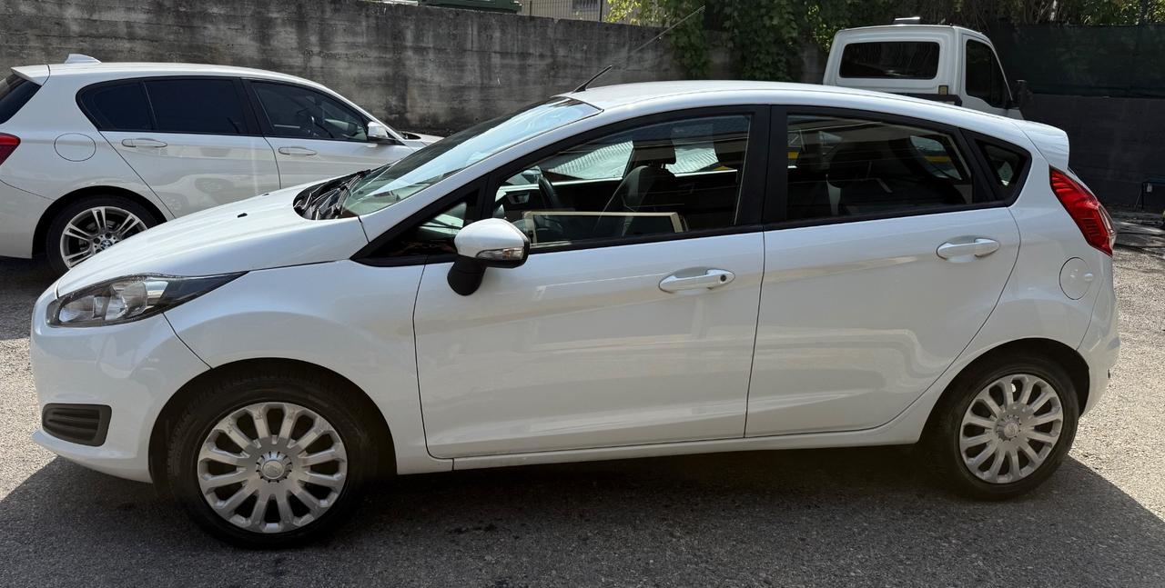Ford Fiesta 1.2 82CV 5 porte Black & White Edition