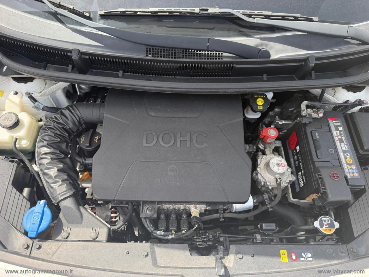KIA Picanto 1.0 12V EcoGPL 5p. Cool PER NEOPATENTATI STUPENDA!