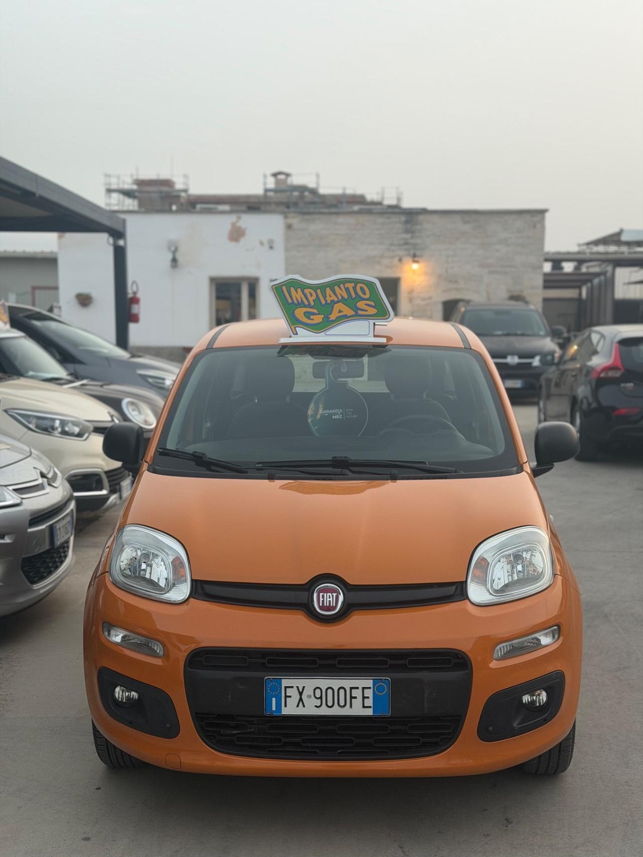 Fiat PANDA 1.2 GPL 2019 - NORD ITALIA
