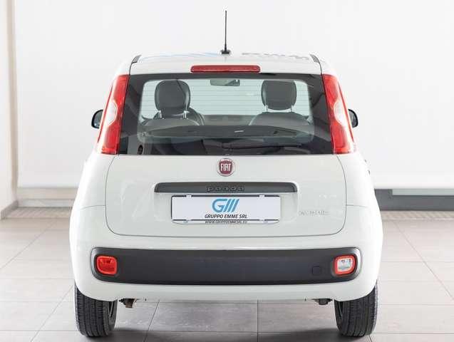 Fiat Panda Panda 1.0 firefly hybrid s