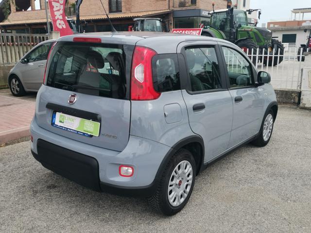 FIAT Panda 1.0 FireFly S&S Hybrid - con SOLO 16mila Km -