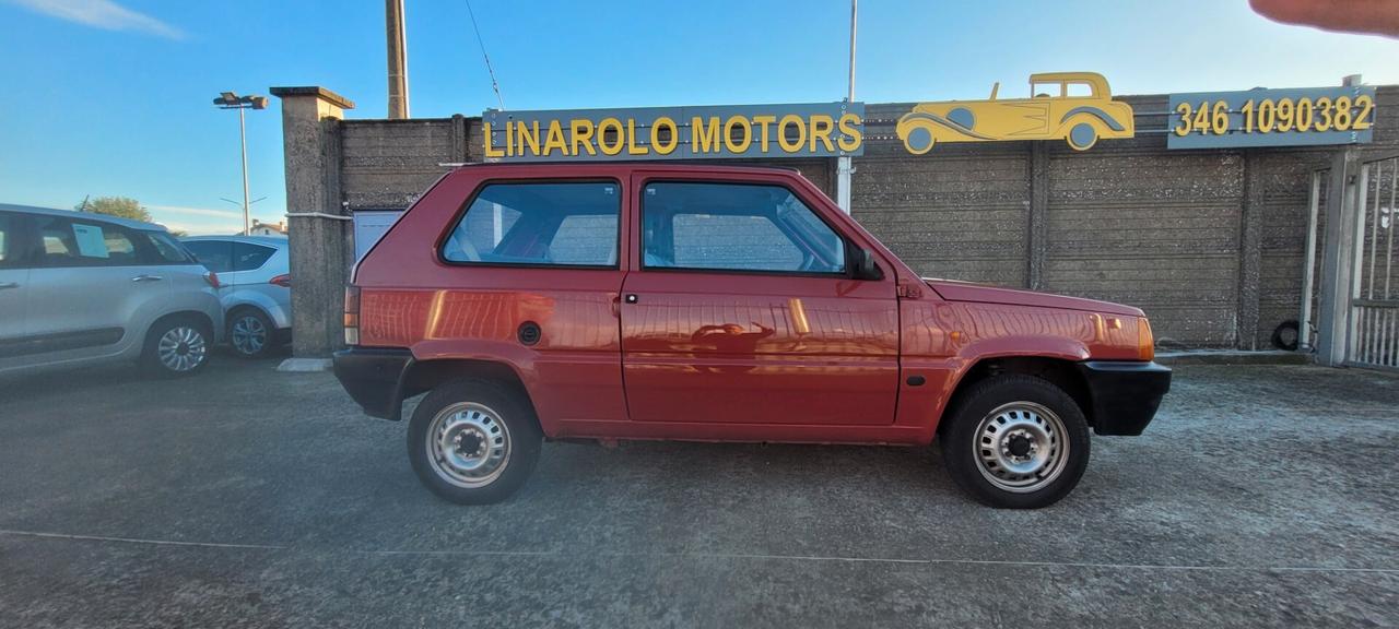 Fiat Panda 900 i.e. cat Young