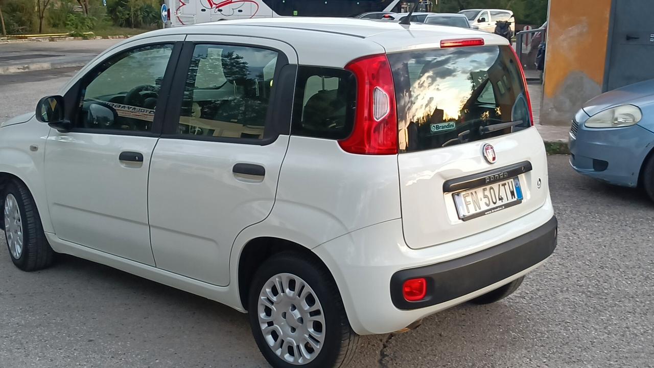 Fiat Panda 1.3 diesel Anno 2018 N1