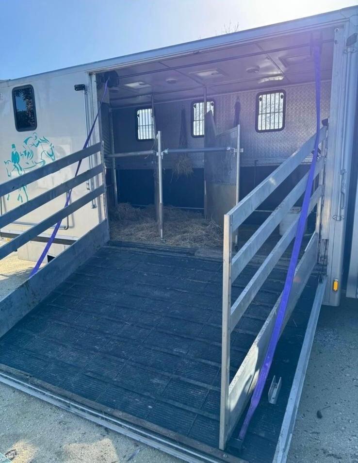 Iveco Daily 50 C11 trasporto per 3 cavalli patente B