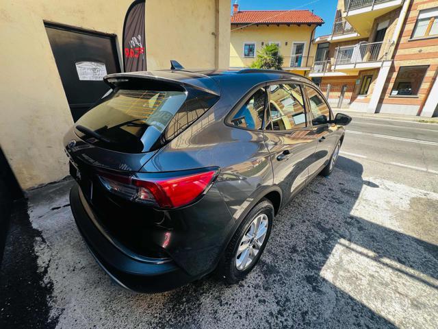 FORD Kuga 1.5 EcoBlue 120 CV 2WD TITANIUM